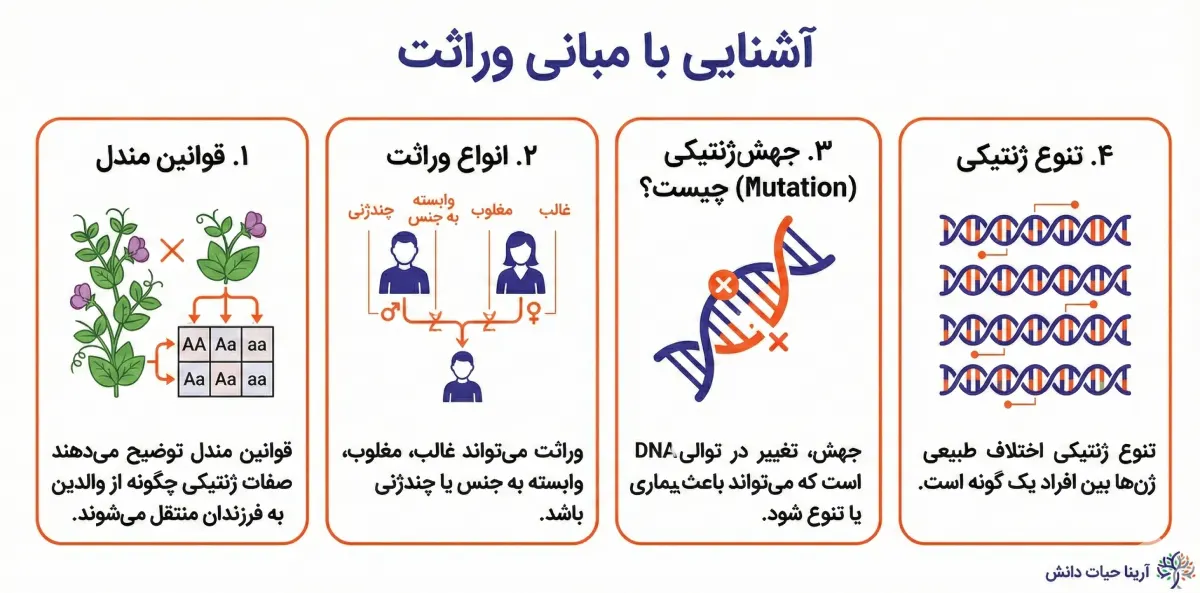 آشنایی با مبانی وراثت