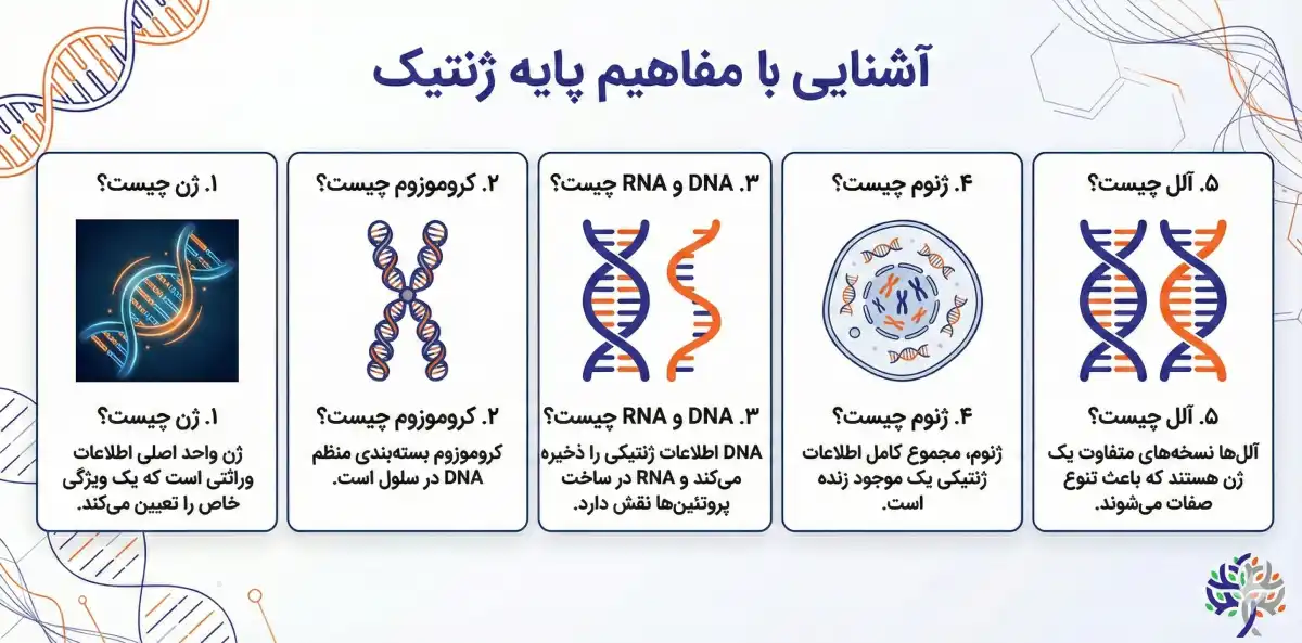 مفاهیم پایه ژنتیک