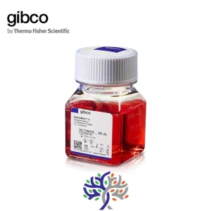 محیط کشت امنیومکس AmnioMAX™-II Complete Medium برند Gibco