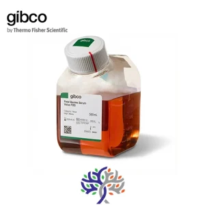 محیط کشت سرم جنین گاوی (FBS Fetal Bovine Serum) برند Gibco