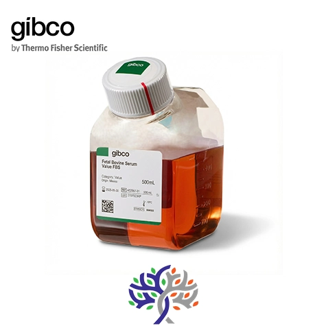 (FBS-Fetal-Bovine-Serum)-برند-Gibco محیط کشت سرم جنین گاوی (FBS Fetal Bovine Serum) برند Gibco