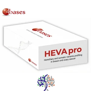 کیت HEVA pro برند 4bases